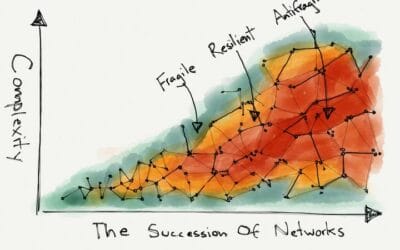 Building Antifragility: Lessons on Resilience, Optionality, and Skin in the Game