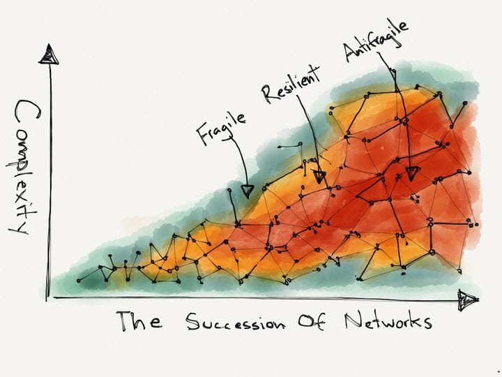 Building Antifragility: Lessons on Resilience, Optionality, and Skin in the Game