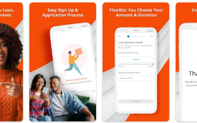 Loan Management Software in Nigeria
